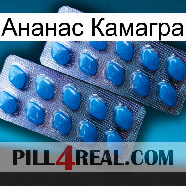 Ананас Камагра viagra2.jpg